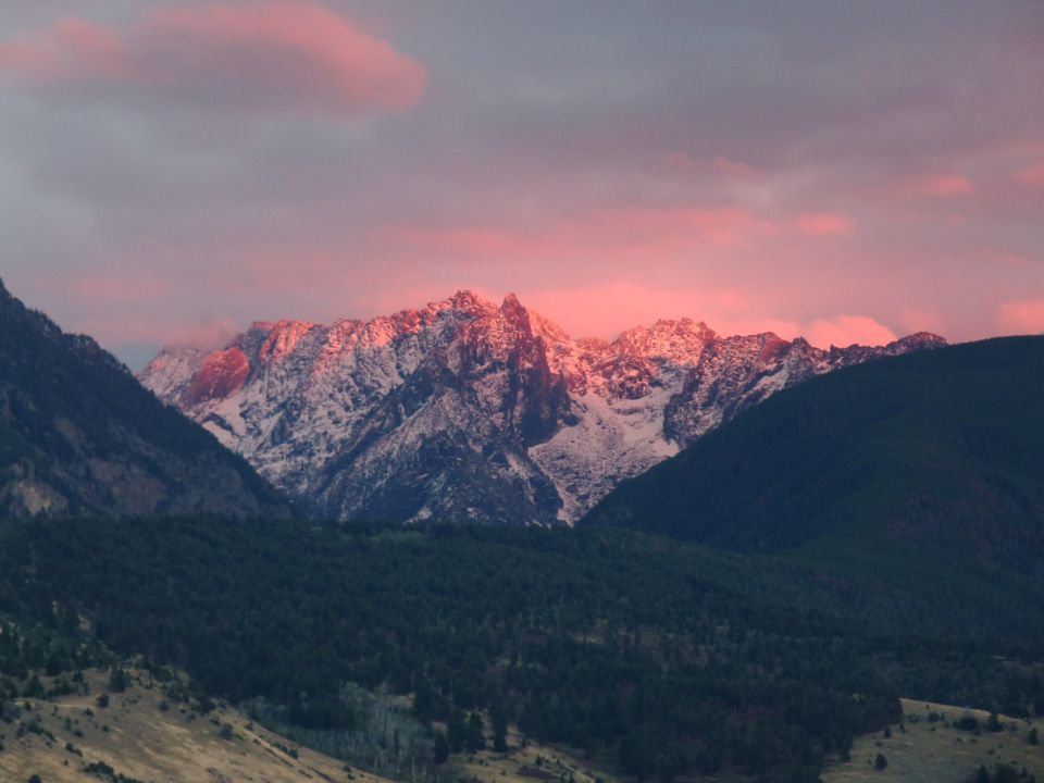 Snow-covered mountain peaks illuminated by pink sunset light, with dark green pine forests in the foreground