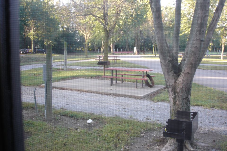 Campground scene with picnic table, grill, and trees