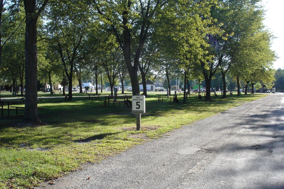 Park scene with picnic tables, trees, and a speed limit sign