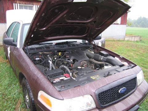 1991 Ford LTD Crown Victoria - Maroon Ford Crown Victoria with hood open, revealing the engine bay and a visible Ford logo on the grille.