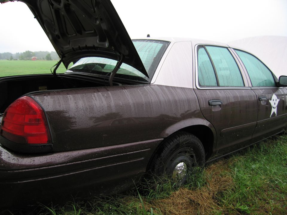 Dark brown sedan with a white roof, open trunk, and hood, parked in wet grass