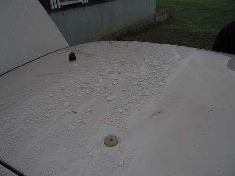 1991 Ford LTD Crown Victoria - Water beads on the car's roof after a rain shower.