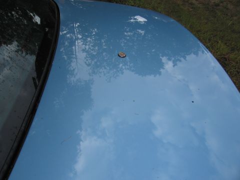 1991 Ford LTD Crown Victoria - The hood of a blue car reflects trees and clouds, with a visible emblem and wiper.