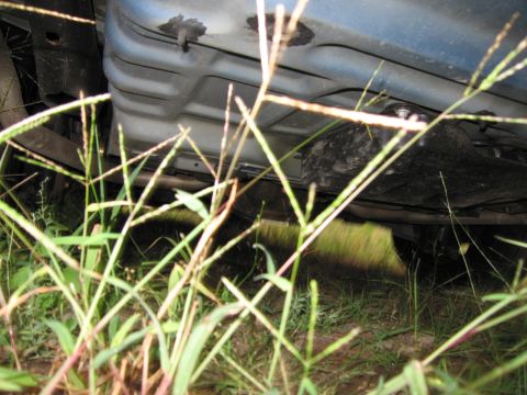 1991 Ford LTD Crown Victoria - View of the undercarriage of a vehicle, partially obscured by grass.