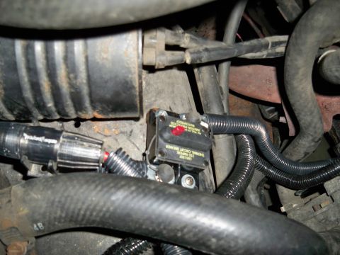1995 Ford F-150 - A thermal circuit breaker with a red reset button is visible among engine hoses and wiring.
