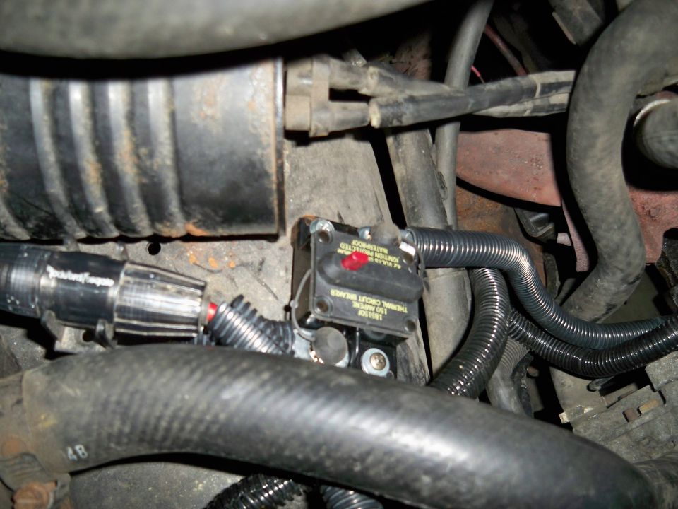 Close-up of a thermal circuit breaker in an engine bay
