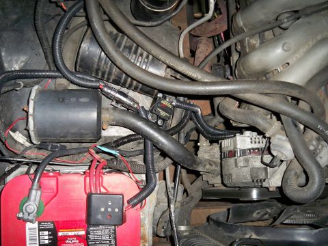 1995 Ford F-150 - Close-up view of a vehicle's engine bay, showing the battery, alternator, and associated components.