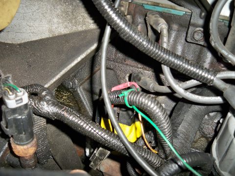 1995 Ford F-150 - Engine bay wiring and components are visible in this close-up shot.