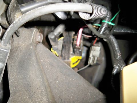 1995 Ford F-150 - This image shows a close-up view of engine components, including wiring and connectors.