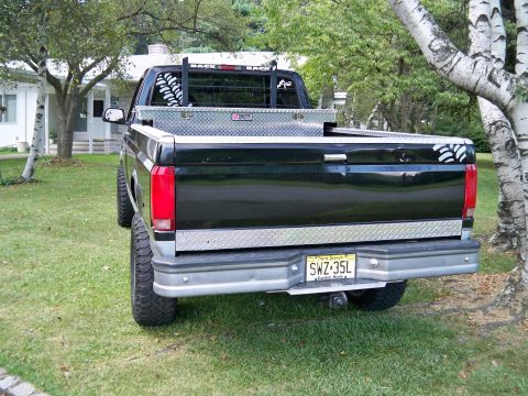 1995 Ford F-150 - Rear view of a black 1995 Ford F-150 pickup truck parked on grass.