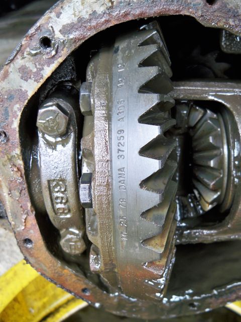 1995 Ford F-150 - Close-up view of differential gears, showing the DANA 37259 stamping.