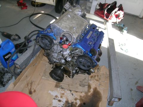 1995 Ford Probe - Engine assembly with blue valve covers and various hoses, resting on cardboard with oil stains.