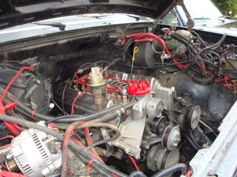 1989 Ford Bronco - The engine bay of a vehicle, showing a V8 engine with red spark plug wires and various hoses and belts.