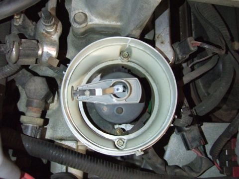 1995 Ford Mustang - Close-up view of an engine's distributor cap and rotor assembly.