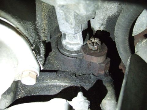 1995 Ford Mustang - This image shows a close-up view of an engine component, likely experiencing an oil leak, with visible bolts and a rubber hose.