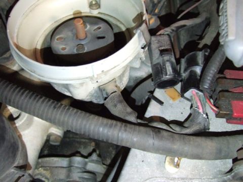 1995 Ford Mustang - Close-up view of a vehicle's engine distributor and associated wiring, with a watermark at the bottom.