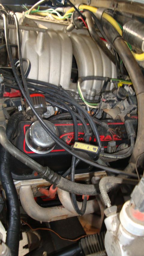1994 Ford Bronco - The engine bay of a vehicle, with various components and wiring visible.