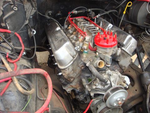 1989 Ford Bronco - Close-up view of a V8 engine in an engine bay, showing spark plug wires and distributor.