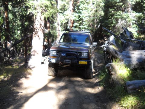 1986 Ford Bronco II - Brown Ford Bronco II navigates a forest road, its front end visible with a bull bar and winch attached.