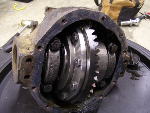 1991 Ford Bronco - Junkyard D44 with Detroit True Trac and 4.09 find!