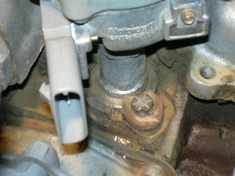 1991 Ford Bronco - Took this picture to remember where the distributor was set at. There's my new TFI module also.