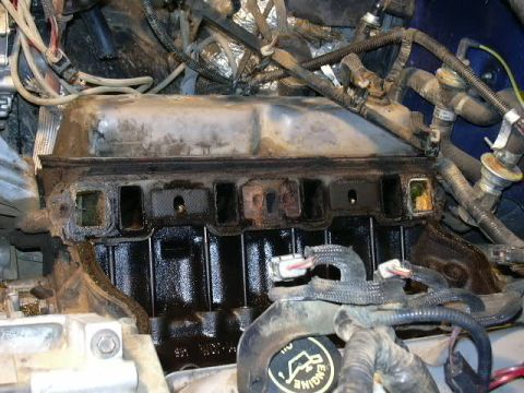 1991 Ford Bronco - The gasket was almost nonexistent on the front of the motor!