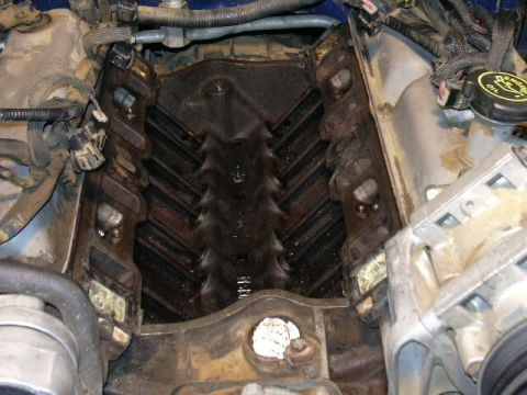 1991 Ford Bronco - All cleaned up! Looks much better.