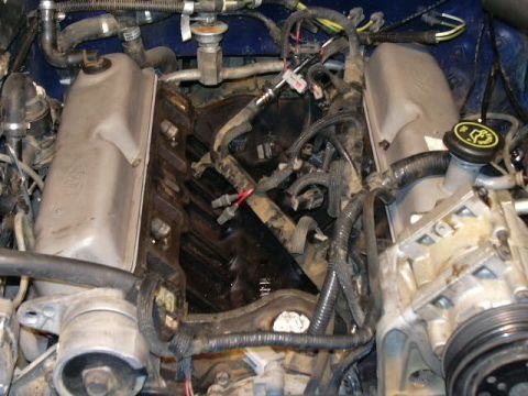 1991 Ford Bronco - Clean valve covers with new gaskets.