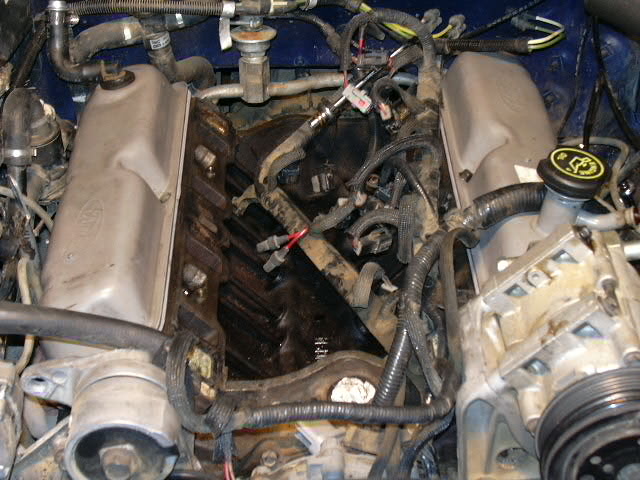Clean valve covers with new gaskets.