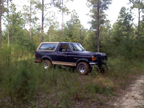 1990 Ford Bronco - This 1990 Ford Bronco is parked off-road amidst trees and tall grass.