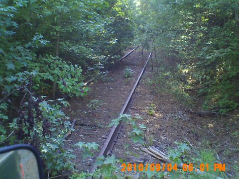1990 Ford Bronco - Overgrown railroad tracks disappear into a dense forest, with a partial view of a vehicle's side mirror in the foreground.