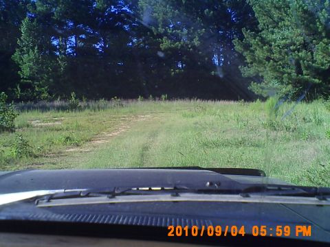 1990 Ford Bronco - The view from the dashboard shows a dirt track leading into a wooded area.