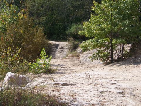 1989 Ford Bronco - A rough dirt path winds through a wooded area with rocky terrain.