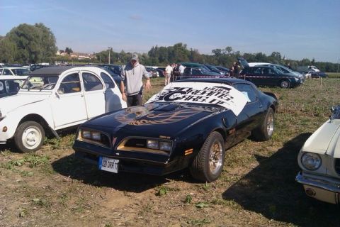 1991 Ford Crown Victoria - Black 1977-1981 Pontiac Trans Am with gold bird decal on hood, parked at car show.