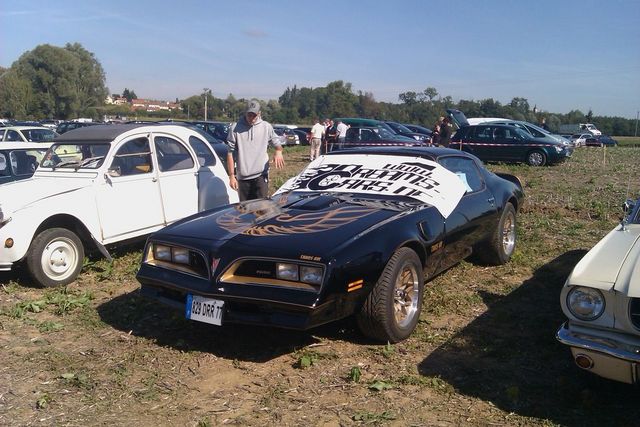 Black 1977-1981 Pontiac Trans Am with gold bird decal on hood, parked at car show