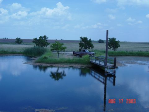 1984 Ford Bronco photo