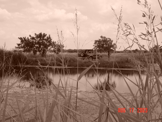 1984 Ford Bronco parked by a lake with tall grass in the foreground