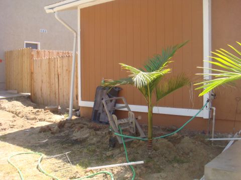 1992 Ford Bronco - A yard scene shows landscaping in progress with a small palm tree and garden equipment.