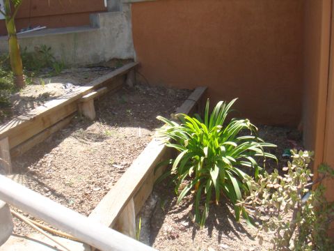 1992 Ford Bronco - A garden bed with wooden borders and plants is shown, with a Supermotors.net logo in the lower right corner.