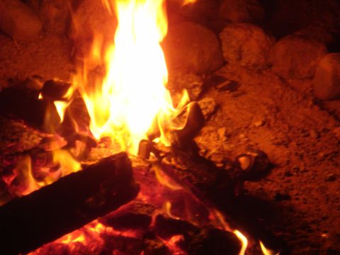 1992 Ford Bronco - A campfire burns brightly with logs and rocks surrounding the flames, with a website address visible in the corner.