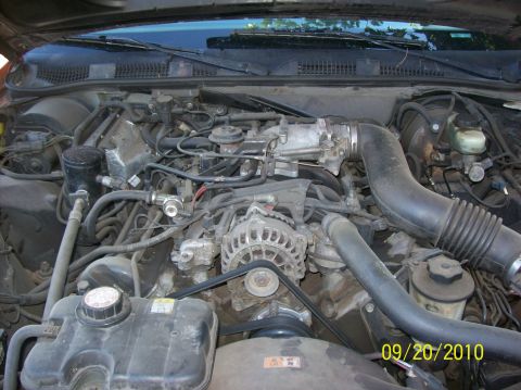 2002 Ford Crown Victoria - The engine bay of a 2002 Ford Crown Victoria is pictured, revealing the alternator, drive belts, and various hoses.