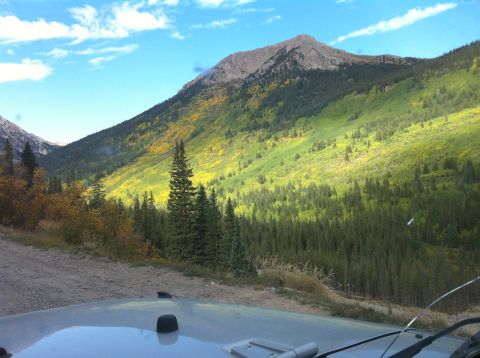 1986 Ford Bronco II - Mountain landscape with trees and a vehicle hood in the foreground.