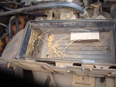 1989 Ford Bronco - An open rectangular air filter housing in a dusty engine bay with its lid off, the panel filter element visible at right and dry straw, see…
