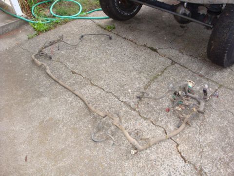 1989 Ford Bronco - A complete engine and chassis wiring harness pulled from a truck and laid out flat on a cracked concrete driveway, its taped main trunk run…