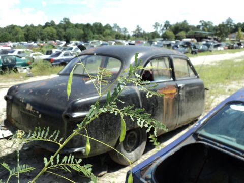 1960 Ford Fairlane - A weathered sedan is parked in a field of abandoned vehicles, overgrown with weeds.