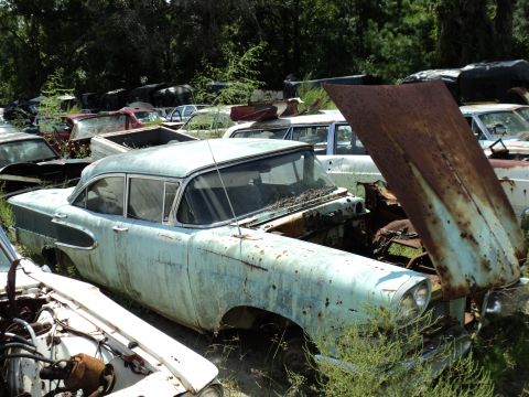 1960 Ford Fairlane - This light blue sedan, likely a 1956 model, is rusting away in a junkyard surrounded by other vehicles.