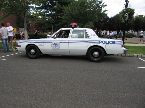 1991 Ford LTD Crown Victoria - Side profile of a white police sedan marked POLICE 839 with blue stripes and a palm-tree door seal.