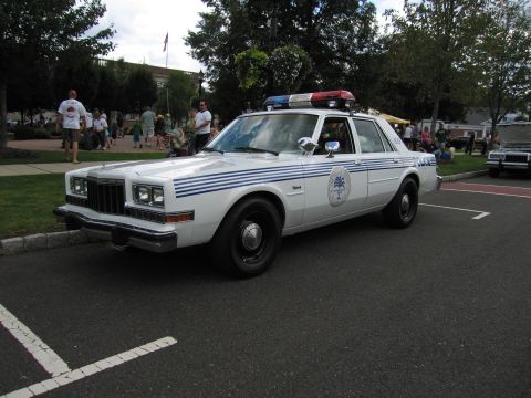 1991 Ford LTD Crown Victoria - white Dodge police sedan with blue side striping, a palm-tree door seal and roof light bar parked at a curb.