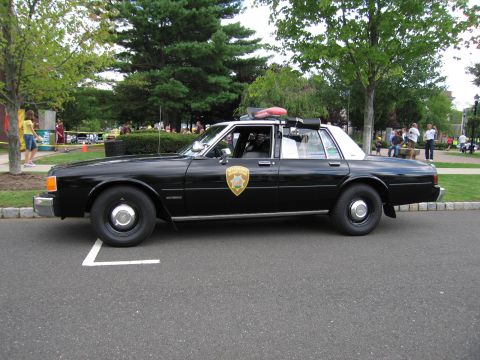 1991 Ford LTD Crown Victoria - black four-door police cruiser shown in profile with a gold star door shield and red roof beacon, parked on asphalt.
