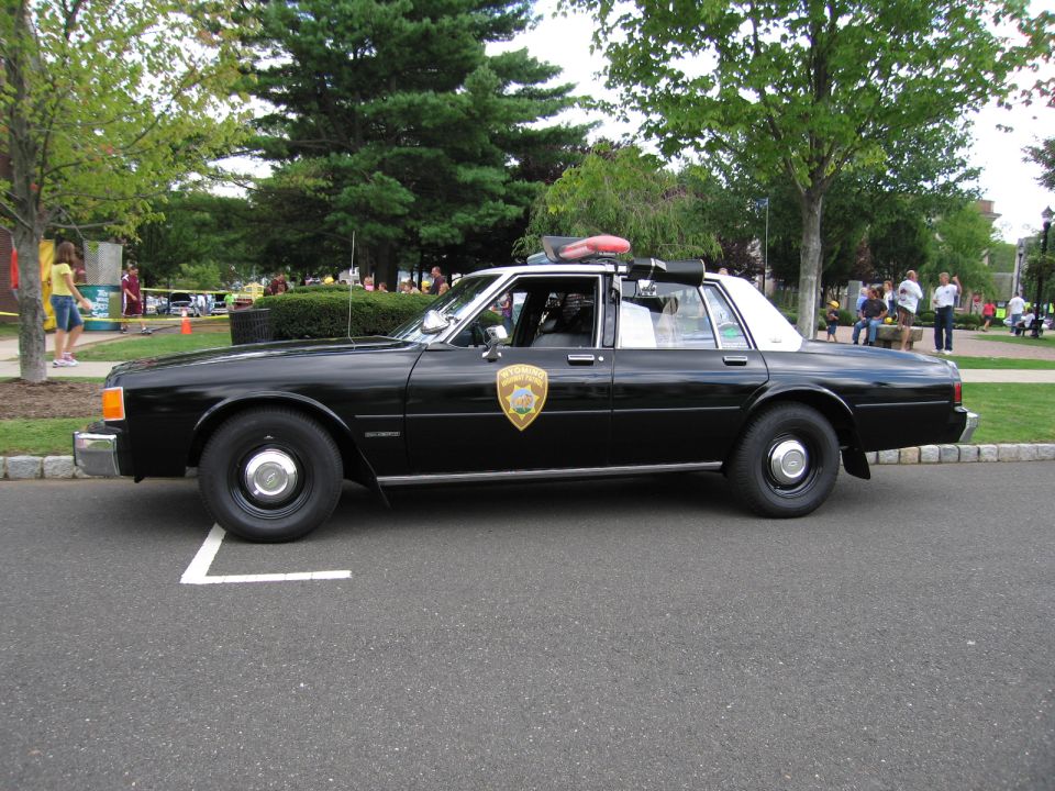 Black police sedan side view with gold star shield and red roof beacon